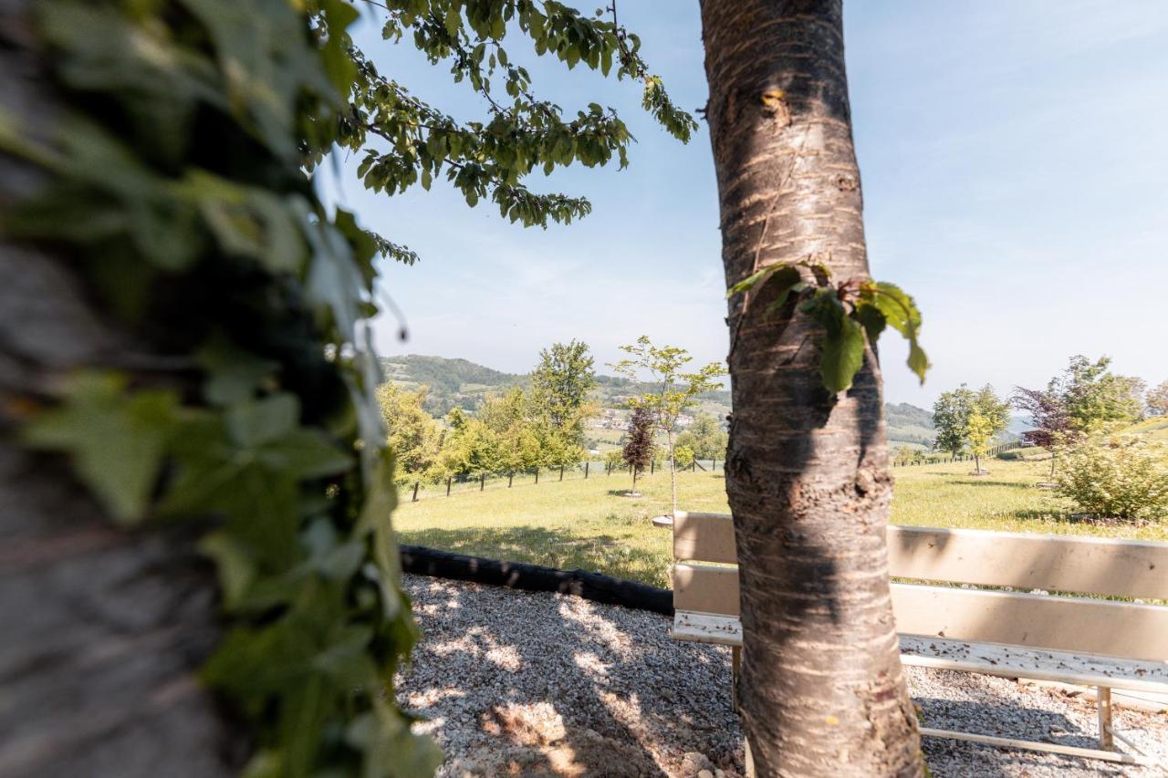 Ca' Del Magu Villa San Michele Mondovi Kültér fotó